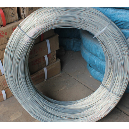 China Tw1061t Binding Galvanized Iron Wire Supplier